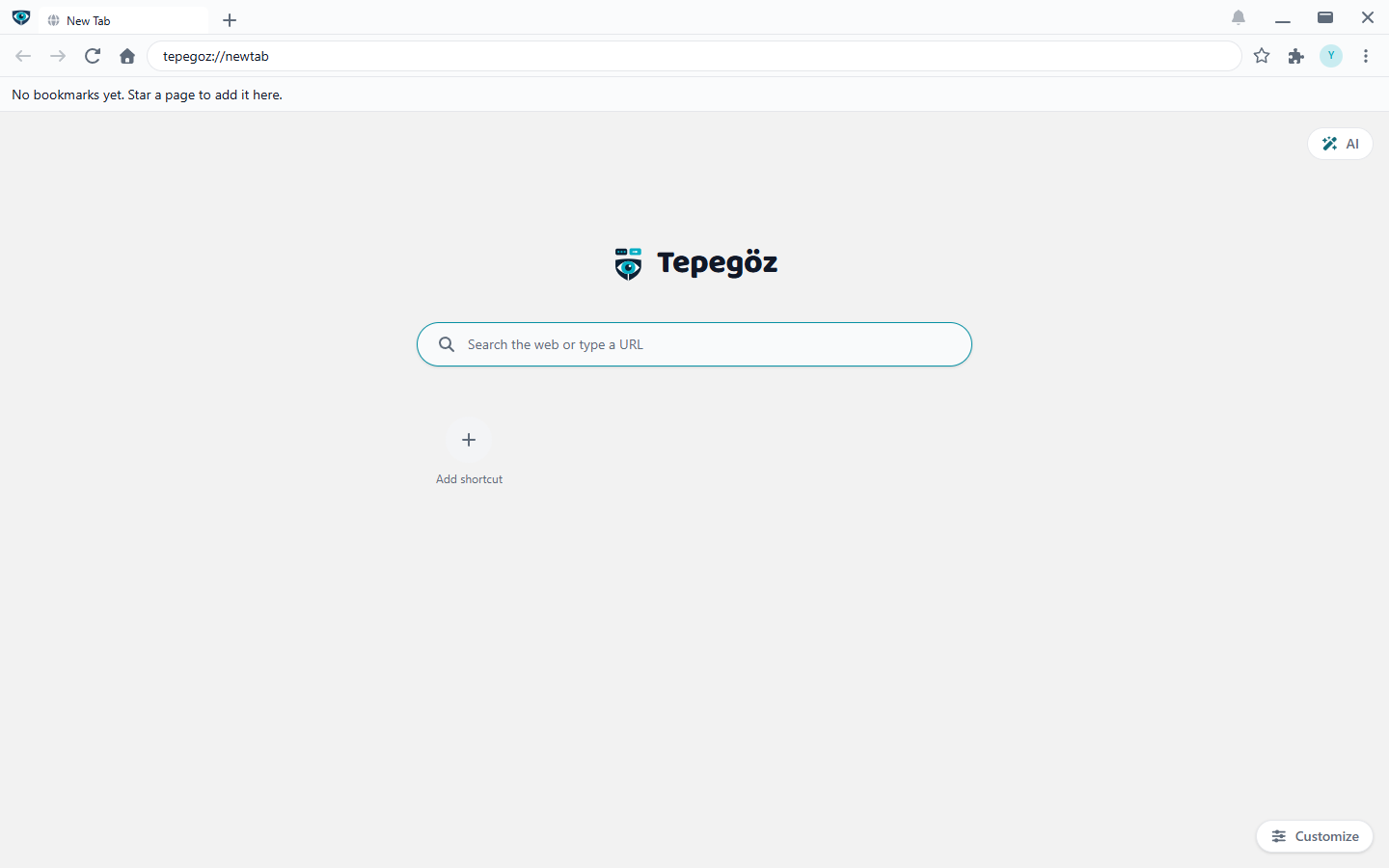 The Tepegöz window: tab strip, address bar, bookmarks bar, and the new-tab page with a search field.