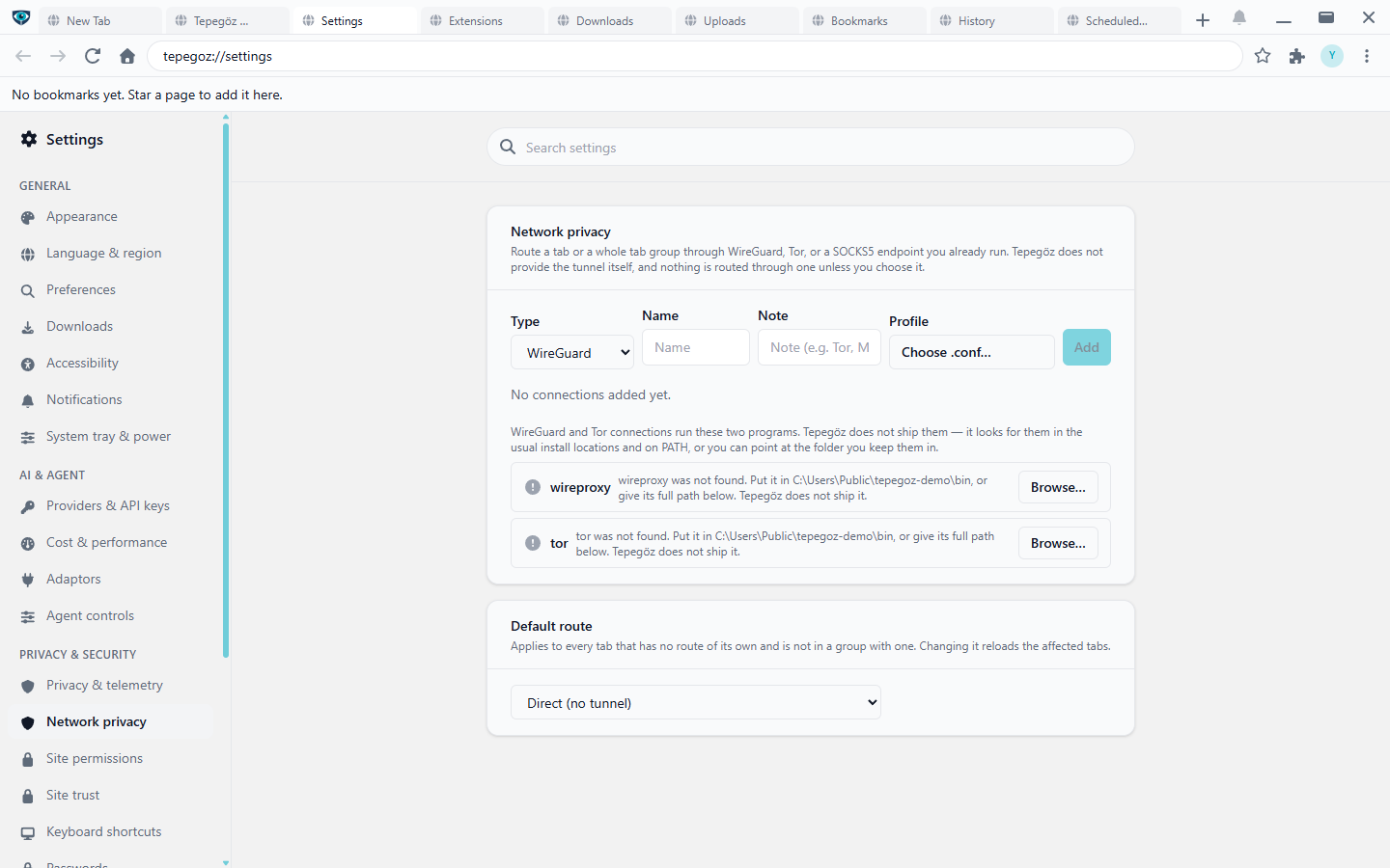 Settings, Network privacy: a connection form offering WireGuard, Tor or SOCKS5, a default route selector, and notices that Tepegöz does not ship the tunnel binaries.