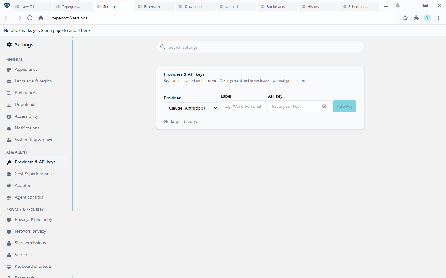Settings, Providers and API keys: a provider dropdown, a label field and an API key field, with a note that keys are encrypted on the device.